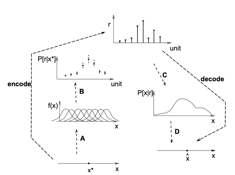 Esquema de codificación y decodificación