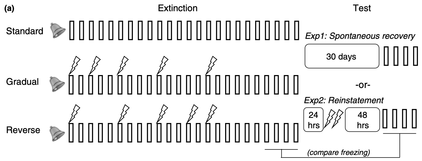 Protocolos de extinción